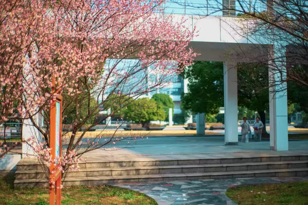 Campus Library