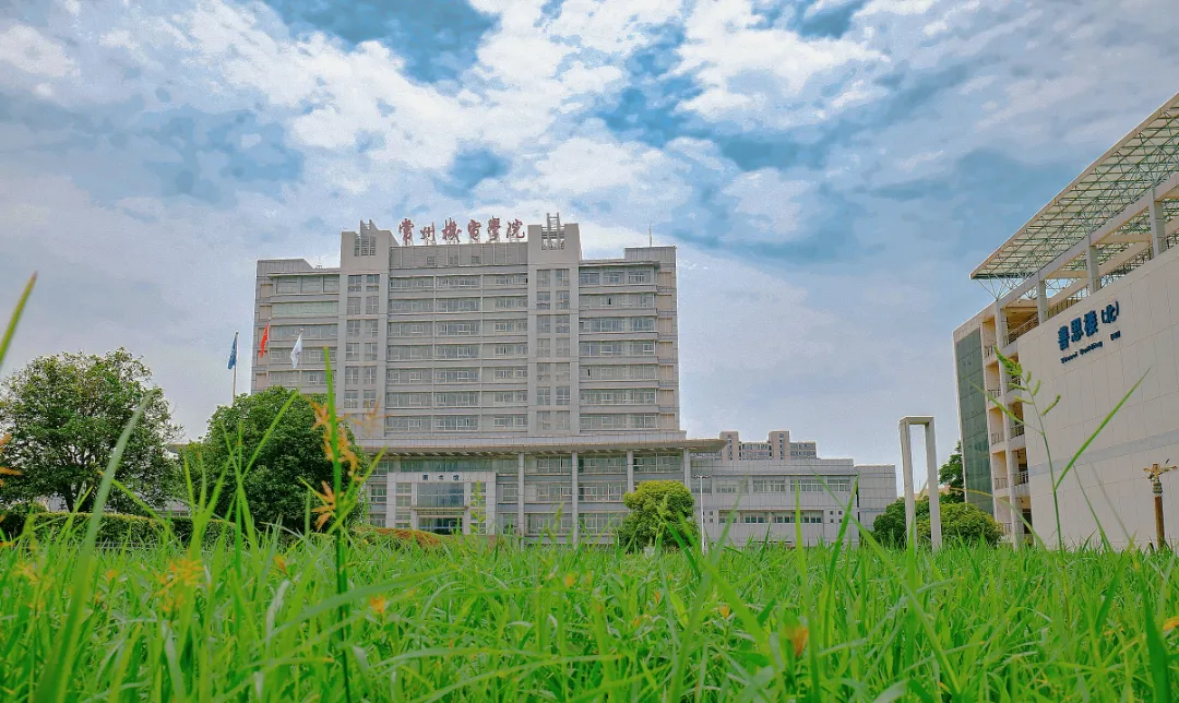 CZIMT Campus - Latest news and Articles